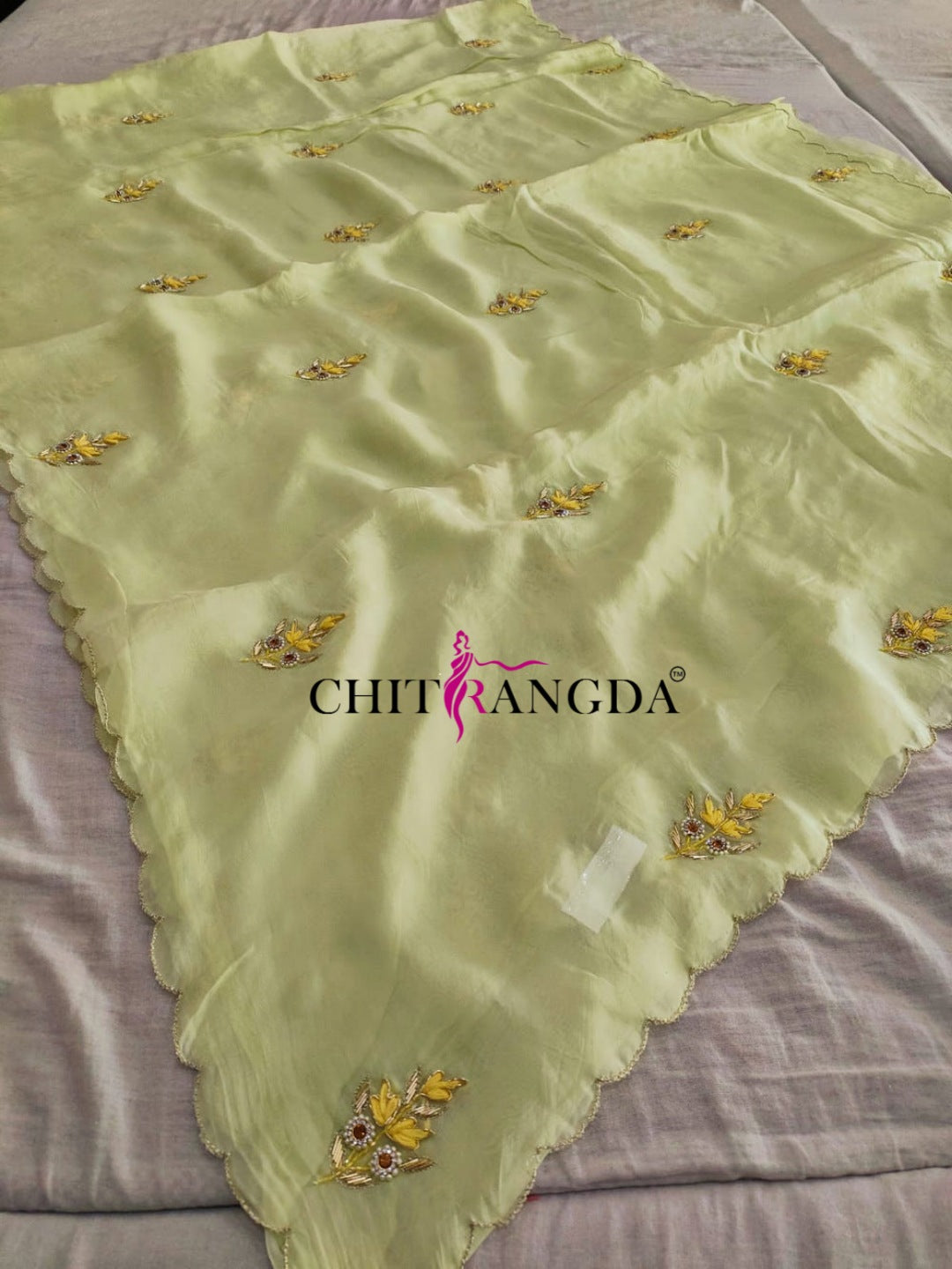 132001 Premium Organza Saree with Heavy Hand Work and With Stitch Blouse - Light Green