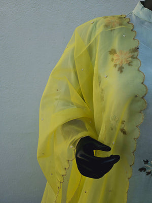 539012 Party Wear Fancy Straight Kurti and organza Dupatta with Hand Embroidery Work