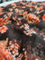 448006 Semi Chiffon Flower Print Saree - Brown