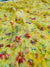 507005 Semi Chiffon Flower Printed Saree - Yellow 496005