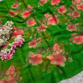 991005 Lightweight Elegant Semi Chiffon Flower Print Saree with Zari Print - Parrot Green