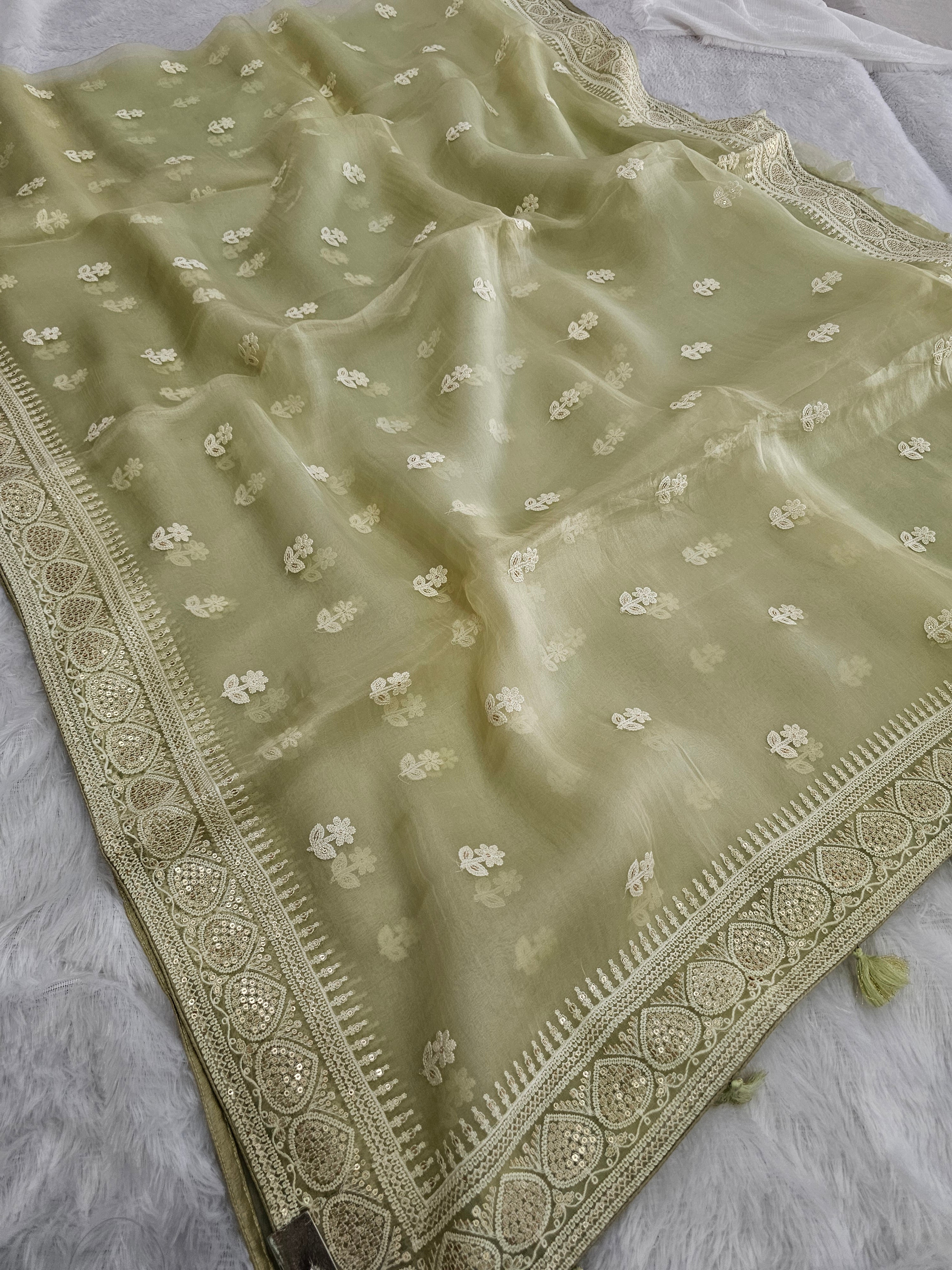 9022 Pure Luxury Feel Very Light Weight Organza Saree With Chikankari Work