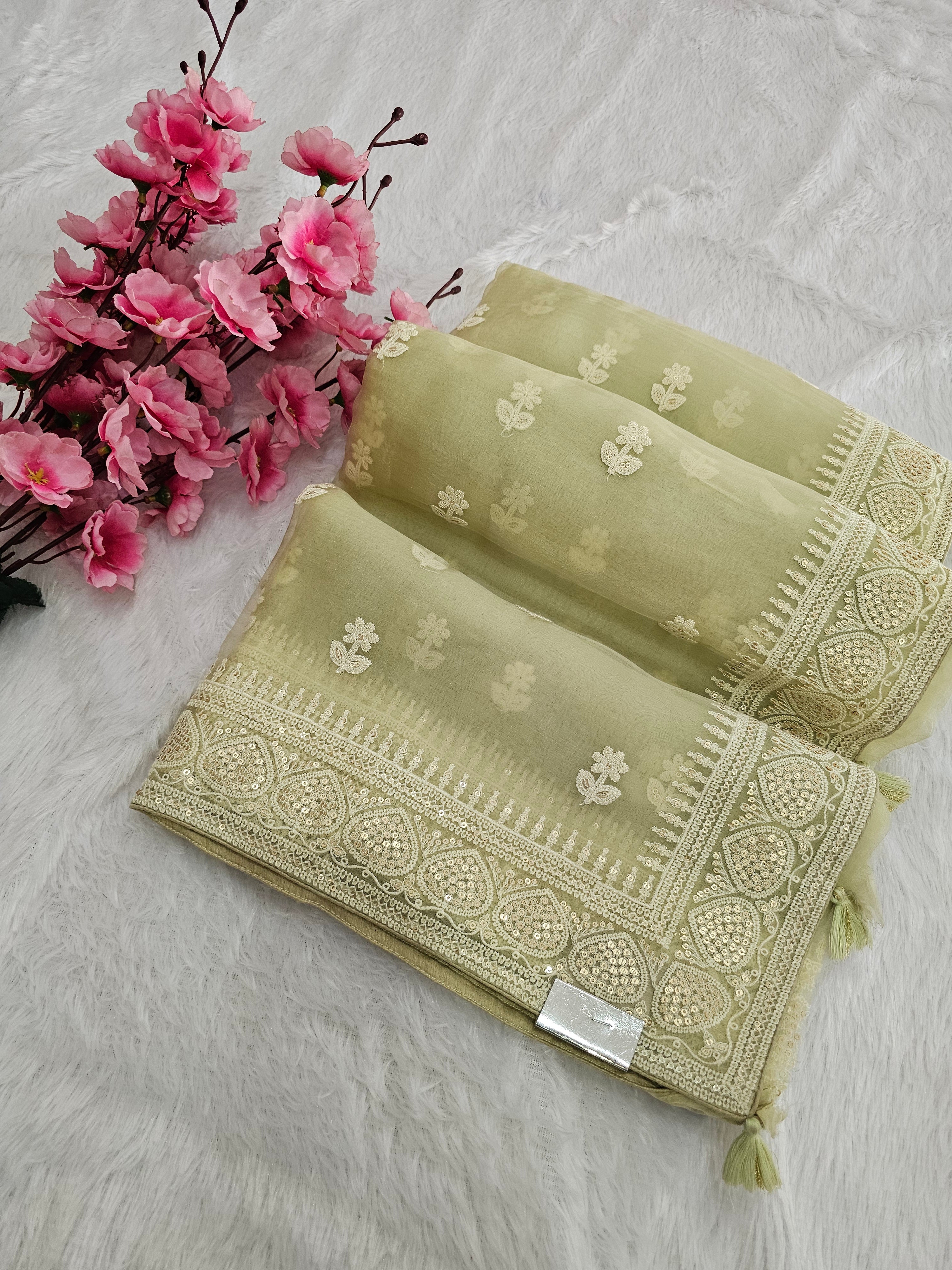 9022 Pure Luxury Feel Very Light Weight Organza Saree With Chikankari Work